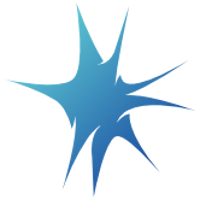 NER