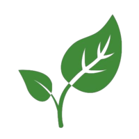 CLF