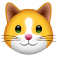 KIF